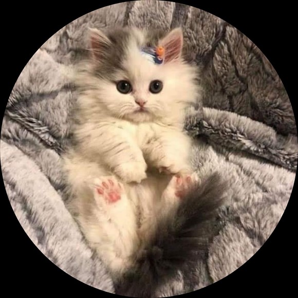 kashiyuka